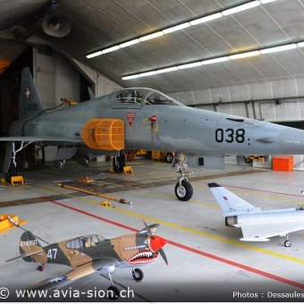 25.05.13 - 70 ans Base Aérienne Sion (085)