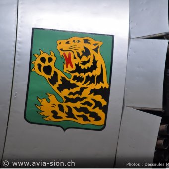 25.05.13 - 70 ans Base Aérienne Sion (132)