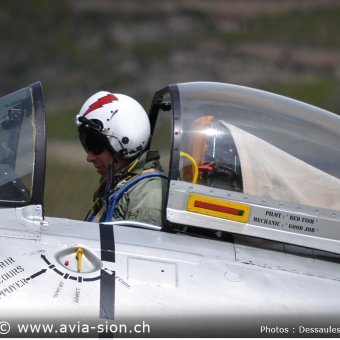 25.05.13 - 70 ans Base Aérienne Sion (133)