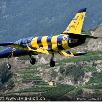 Albatros - 45