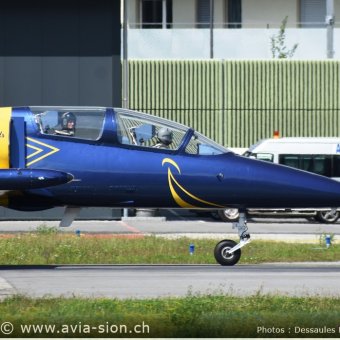 Albatros - 81