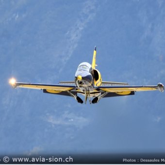 Albatros - 094