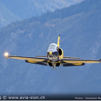 Albatros - 095