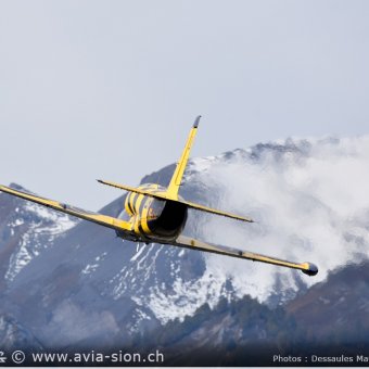 Albatros - 108