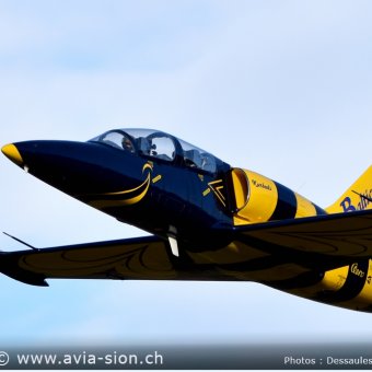 Albatros - 175
