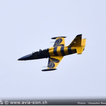 Albatros - 131