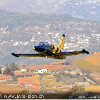 Albatros - 248