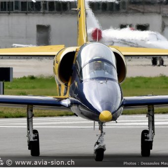 Albatros - 151
