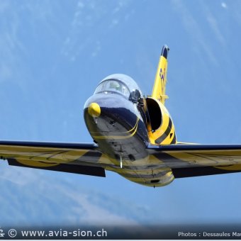 Albatros - 100