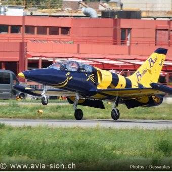 Albatros - 73