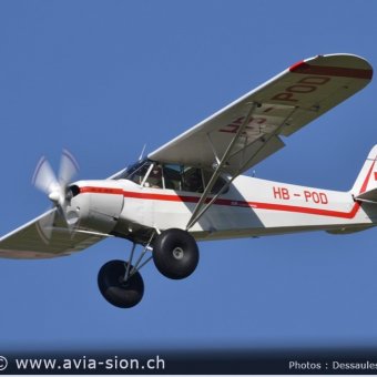 Elice 00694