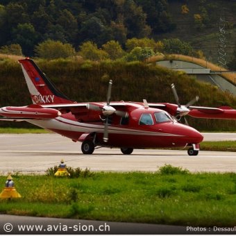Elice 00234