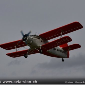 Elice 00041