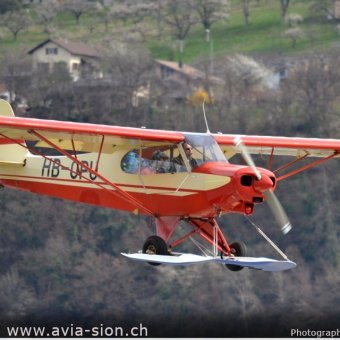 Elice 00425