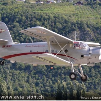 Elice 00476