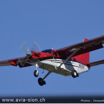 Elice 00689