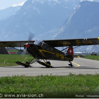 Elice 00864
