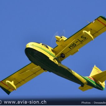 Elice 00629
