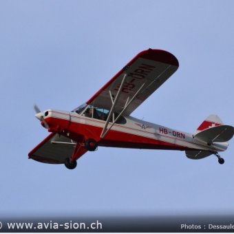 Elice 00477