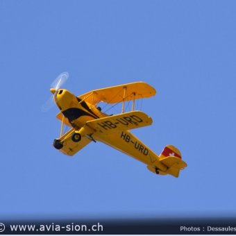 Elice 00632