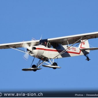 Elice 00710
