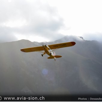 Bex  LSGB - 205