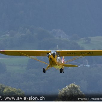 Bex  LSGB - 203