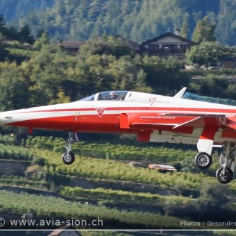 Sion Air Show 2017 - 235