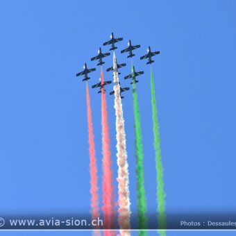 Sion Air Show 2017 - 549