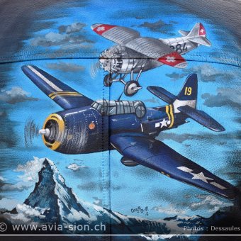 Sion Air Show 2017 - 496