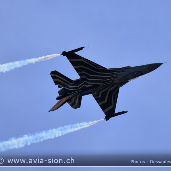 Sion Air Show 2017 - 663