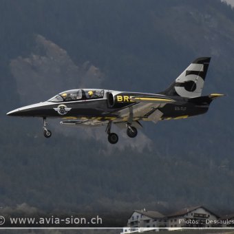 Sion Air Show 2017 - 066