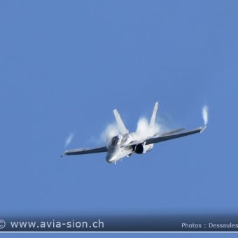 Sion Air Show 2017 - 039