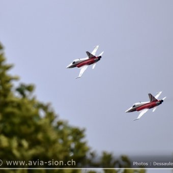 Sion Air Show 2017 - 390