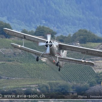 Sion Air Show 2017 - 005