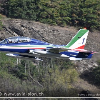 Sion Air Show 2017 - 691