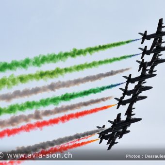 Sion Air Show 2017 - 238