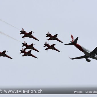 Sion Air Show 2017 - 336
