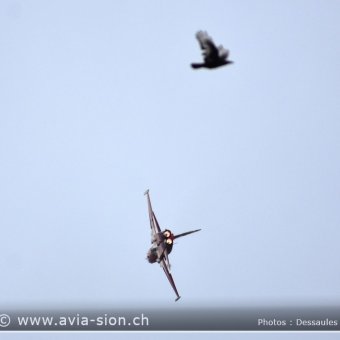 Sion Air Show 2017 - 420