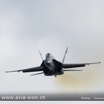 Sion Air Show 2017 - 051
