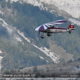 Sion Air Show 2017 - 019