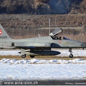 CE F-5 Tiger 02.2015 (111)