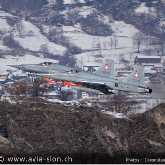 CE F-5 Tiger 02.2015 (011)