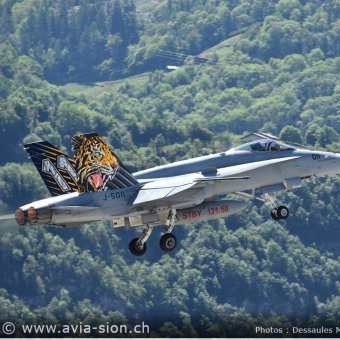 CE  FA18 - Mai 2017 - 335