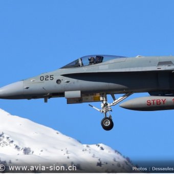 CR Mars 2016 sur FA-18 & Tiger 450