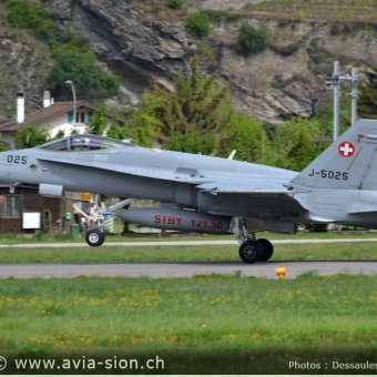 CR  2015 sur FA-18 & Tiger (176)