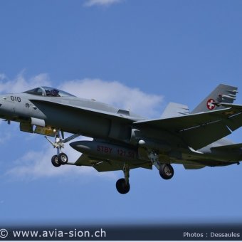 CR  2015 sur FA-18 & Tiger (101)