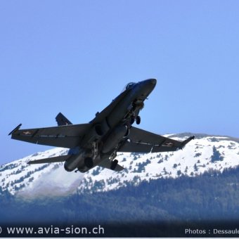 CR  2015 sur FA-18 & Tiger (057)