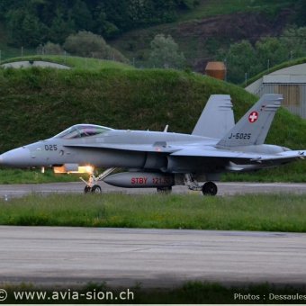 CR  2015 sur FA-18 & Tiger (359)