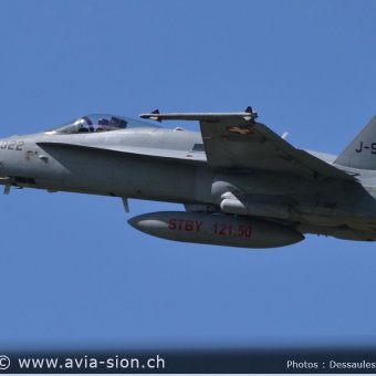 CR  2015 sur FA-18 & Tiger (423)